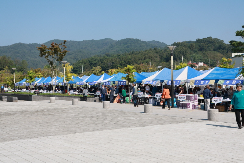'제18회 지보면민 한마음 축제(어울림 마당)' 개최