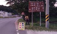 예천읍 '예천곤충페스티벌' 대비 도로변 일제 정비